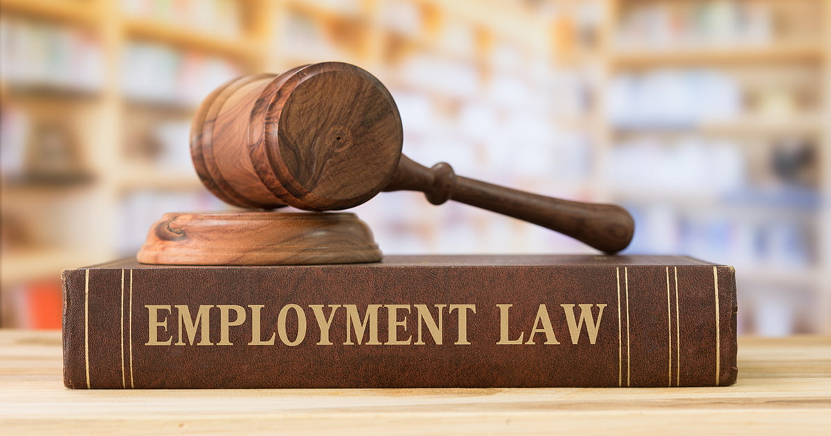 What is Employment Law? - Monkhouse Law